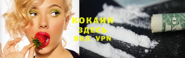 крисы Арсеньев