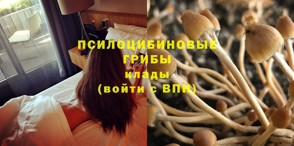 МДПВ Армянск