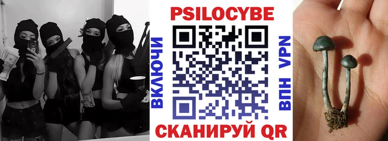 Псилоцибиновые грибы прущие грибы  Свирск 